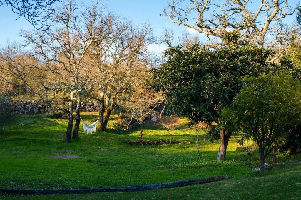 ポンバル Casa Do Vale Do Papoヴィラ エクステリア 写真